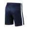 Kratke hlače Nike Djeca Academy 19 Knit