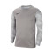Dres Nike Golman Djeca Park IV