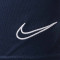 Kratke hlače Nike Djeca akademija 21 Knit