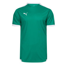 Dres teamLIGA m/c Papar zeleno-bijeli