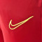 Duge hlače Nike Academy 21 Knit