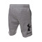 Kratke hlače Under Armour Rival FLC Big Logo Shorts