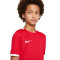 Majica Nike Djeca Dri-Fit Challenge IV