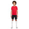 Majica Nike Djeca Dri-Fit Challenge IV
