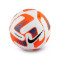 Lopta Nike Flight