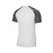 Dres Nike Dri-Fit Academy m/c