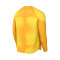 Dres Nike Gardien IV GK m/l Niño