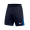 Kratke hlače Nike Academy Pro 22