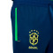 Duge hlače Nike Brasil Fanswear