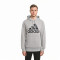 Majica dugih rukava adidas Big Logo