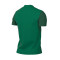 Dres Nike Trophy V m/c