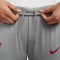 Duge hlače Nike Žene Liverpool FC Training 2022-2023