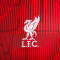 Majica Nike Liverpool FC Pre-Match 2023-2024