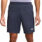 Kratke hlače Nike Tottenham Training 2023-2024