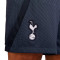 Kratke hlače Nike Tottenham Training 2023-2024
