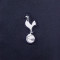 Duge hlače Nike Tottenham Training 2023-2024