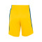 Kratke hlače Nike Team Basketball