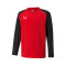 Majica dugih rukava Puma teamLIGA Niño
