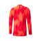Dres Puma teamTARGET m/l Portero