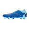 Kopačke adidas Predator Accuracy.3 LL FG
