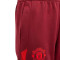 Duge hlače adidas Manchester United FC Training 2023-2024 Niño