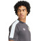 Majica adidas Argentina Fanswear 2023-2024