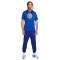Majica Nike Chelsea FC Fanswear 2023-2024