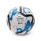 Lopta Nike Colección Premier League 2023-2024