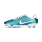 Kopačke Nike Tiempo Emerald Legend 10 Academy FG/MG