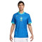 Dres Nike Brasil Segunda Equipación Copa América 2024