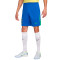 Kratke hlače Nike Brazil Amerika Cup 2024. Domaća