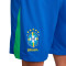 Kratke hlače Nike Brazil Amerika Cup 2024. Domaća