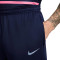 Duge hlače Nike Francuska Euro 2024 Trening