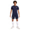 Majica Nike Francia Training Eurocopa 2024