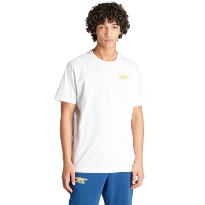 Majica Arsenal FC Fanswear 2023-2024