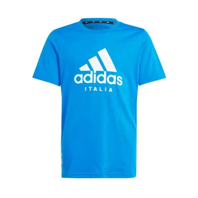 Majica Italia Fanswear Eurocopa 2024
