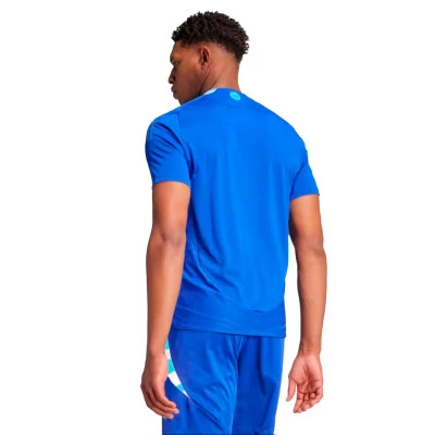 Dres Argentina Segunda Equipación Authentic Copa América 2024