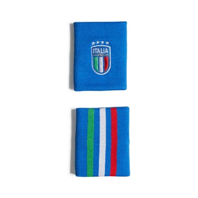 Znojnik Italia Eurocopa 2024