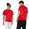 Dres adidas Španjolska Euro 2024. Domaćin