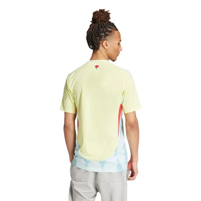 Dres Španjolska Euro 2024. u gostima