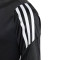 Dres adidas Tiro 24 Niño
