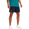 Kratke hlače Under Armour Vanish