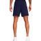Kratke hlače Under Armour Vanish