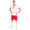 Majica Nike Polonia Primera Equipación Eurocopa 2024