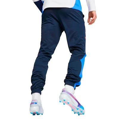 Duge hlače King profesionalne hlače za Trening