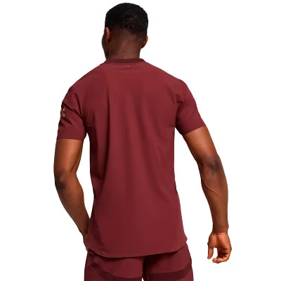 Dres Manchester Grad Authentic 2024-2025 Treći