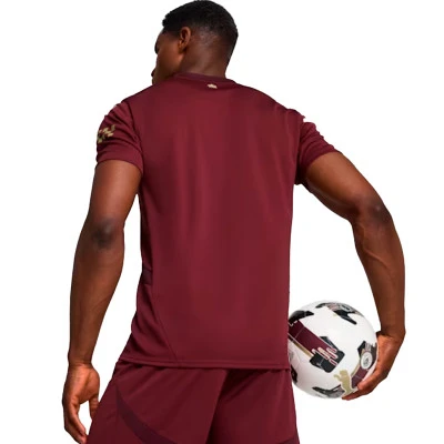 Dres Manchester Grad 2024-2025 Treći