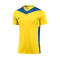 Dres Nike Park Derby IV m/c