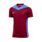 Dres Nike Park Derby IV m/c
