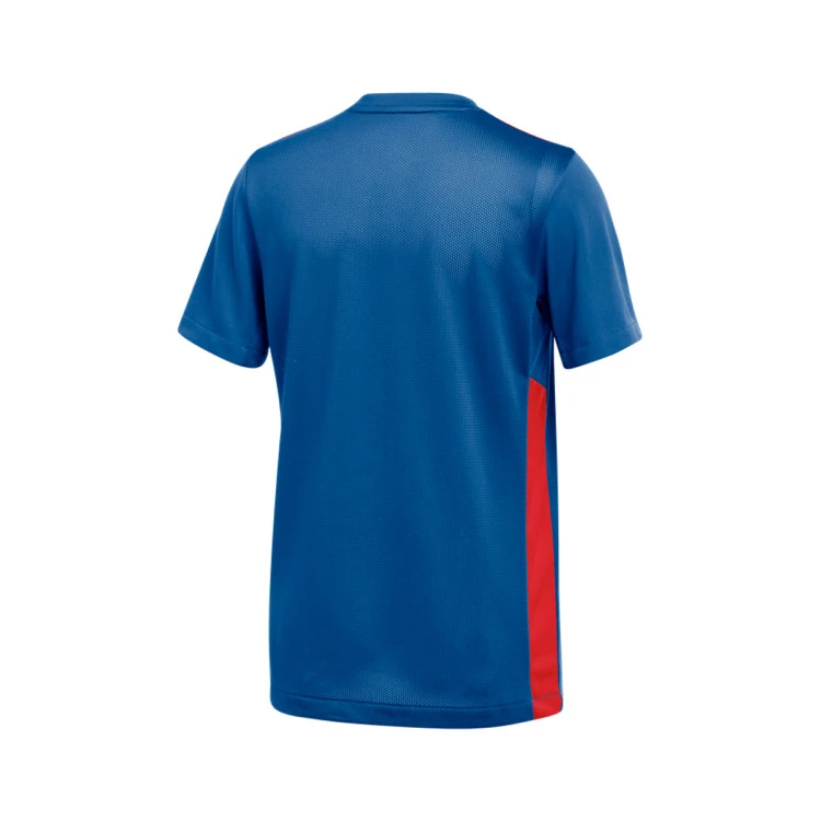 camiseta-nike-park-derby-iv-mc-nino-royal-blue-university-red-1